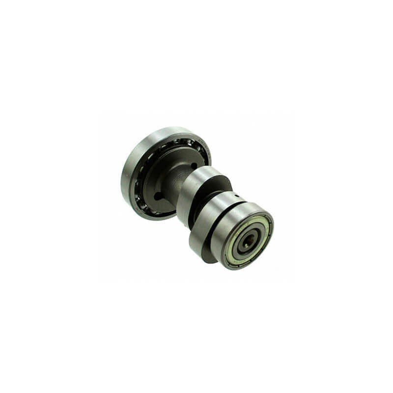 Arbre à cames pour moteur Pit Bike ZS 190