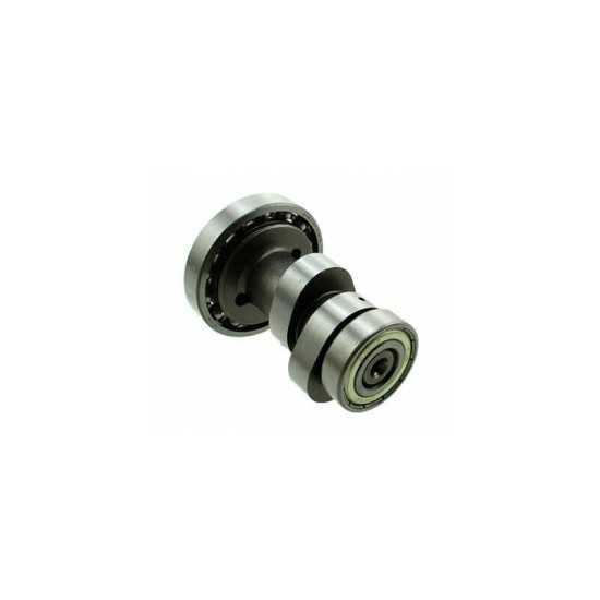 Arbre à cames pour moteur Pit Bike ZS 190