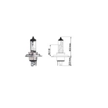 Bombilla HS1 12V 35/35W PX43t halógena Dicra