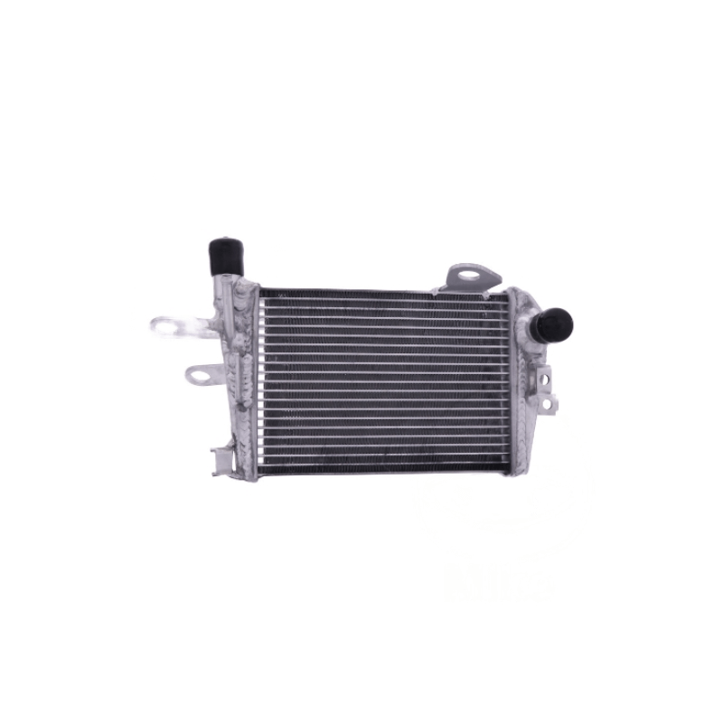 Radiateur d'eau gauche ou droit BMW R 1200-1250 GS JMP