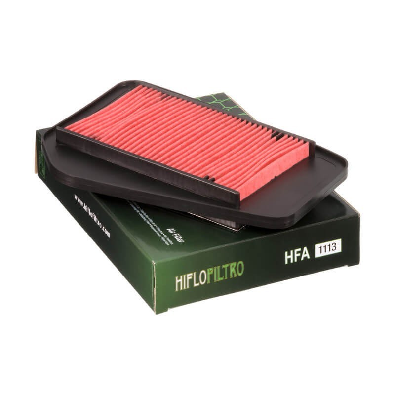 Filtro de Aire Hiflofiltro HFA1113