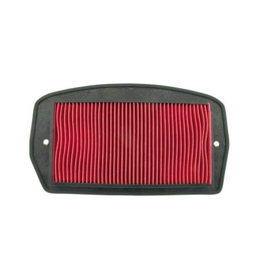 Filtro de aire Yamaha FZ6 Facer / R / S2 600 -10