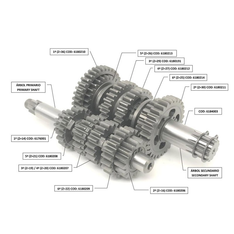 Gearbox Top Racing AM6 Jasil