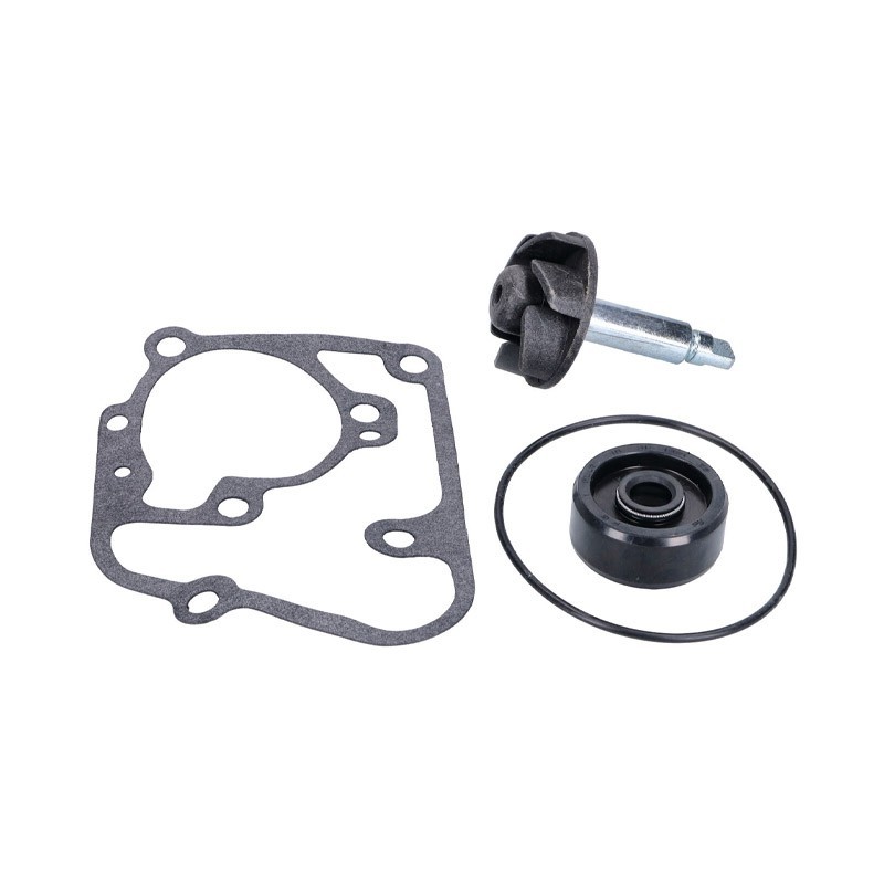 Water pump repair kit Majesty 125cc Octane
