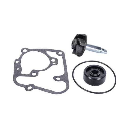 Water pump repair kit Majesty 125cc Octane