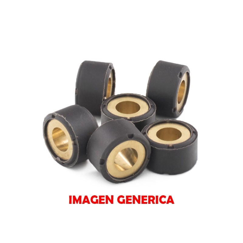 16x13mm variator rollers Vicma