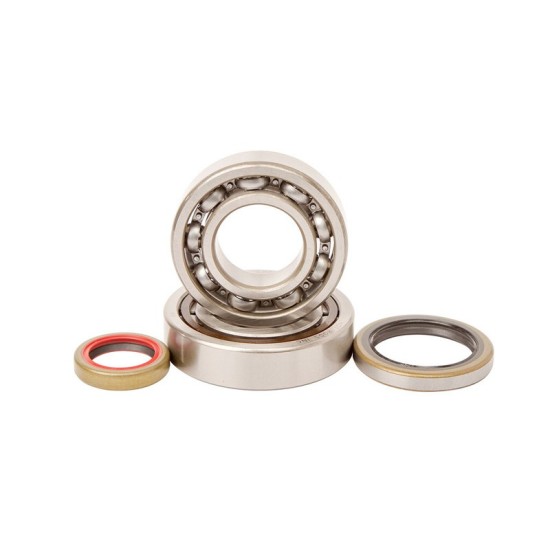 Crankshaft bearings and seals Gas Gas/ KTM 250-300cc HotRods