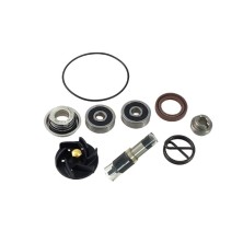 Water pump repair kit Piaggio X7/X8 /X9 JMP