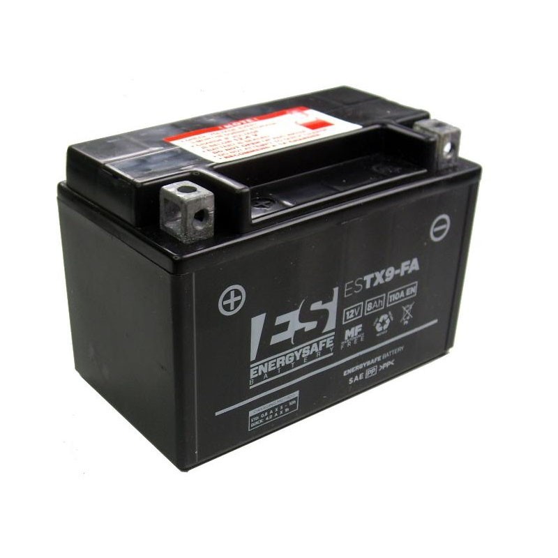 Energysafe battery ESTX9-B4