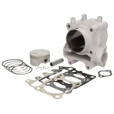 Cylindre Malossi 170cc Honda Forza 125