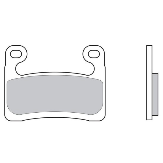 Sintered brake pads BMW S1000R Brembo