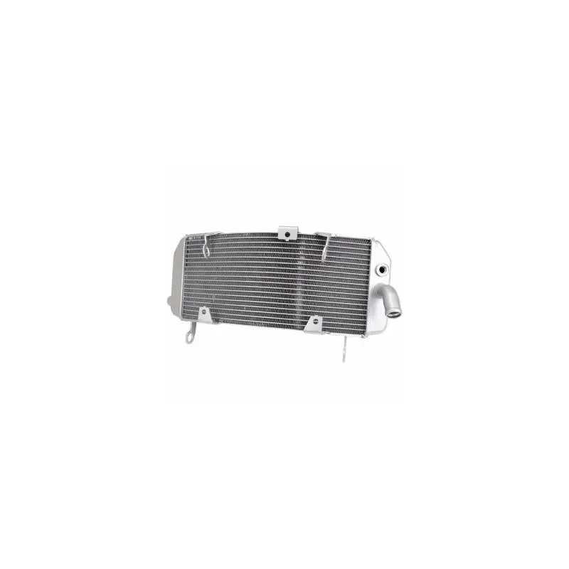 Radiatore Yamaha T-Max 530/ 560 17-24 TNT