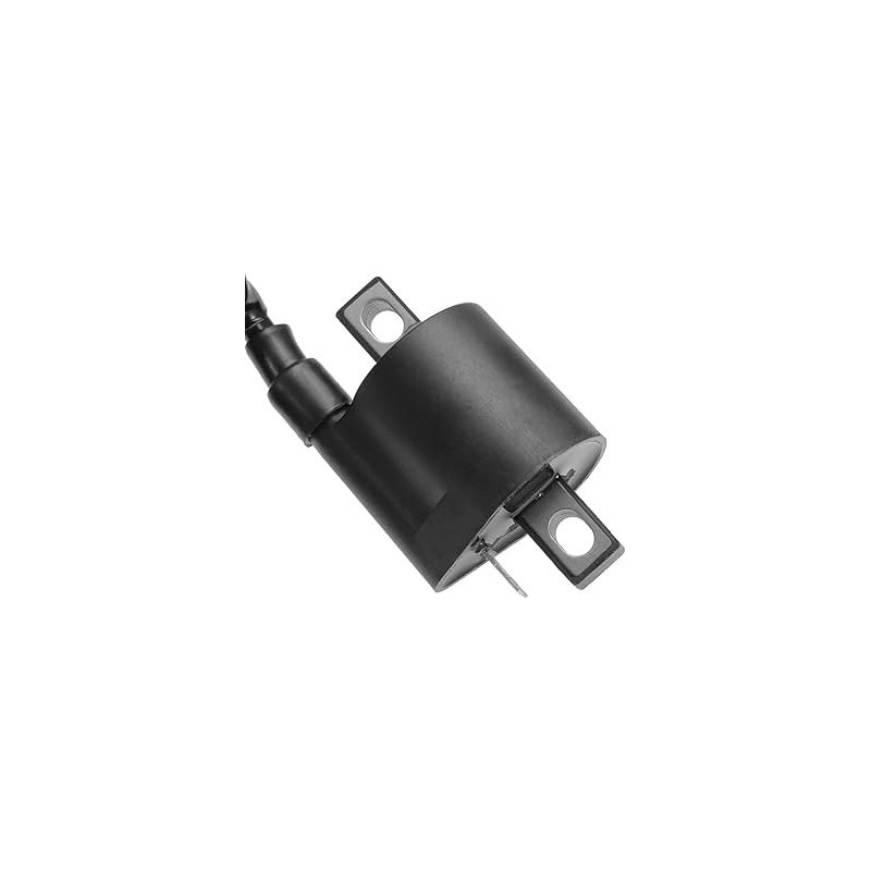 High coil Honda SH 125cc 2009-2019 TNT