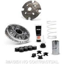 Variator Malossi Multivar Zontes 250 D Euro 5