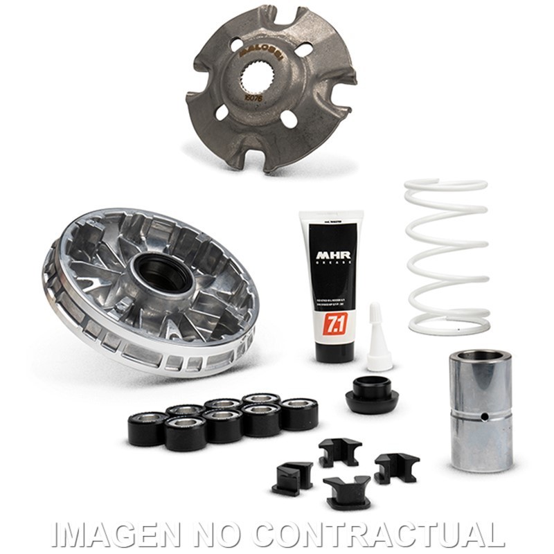 Variateur Malossi Multivar Zontes 250 D Euro 5