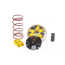 Variateur Minarelli horizontal Metrakit