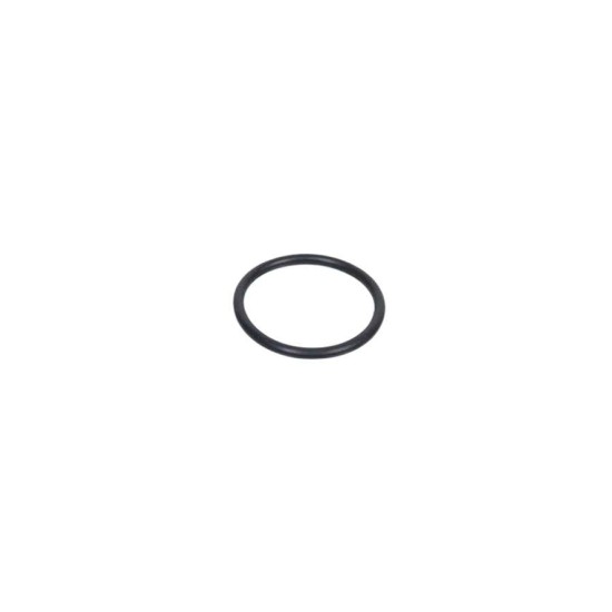 O-ring scarico Minarelli AM6 25mm