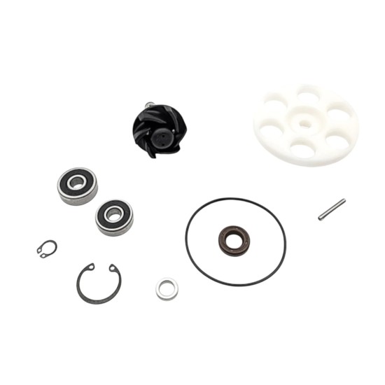 Top Minarelli Horizontal Water Pump for Lid 9937690