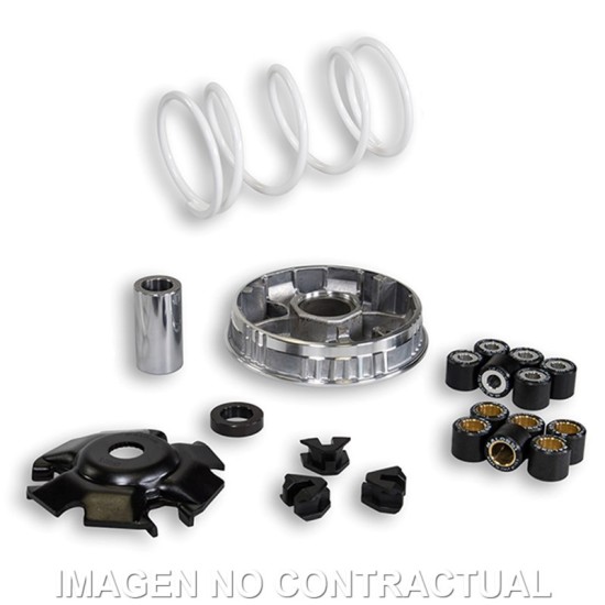 Malossi Multivar Vogue Sfida 200 E5+ Variator