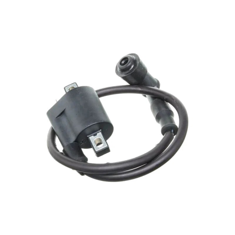 High Coil Pitbike Motor 190 Zongshen