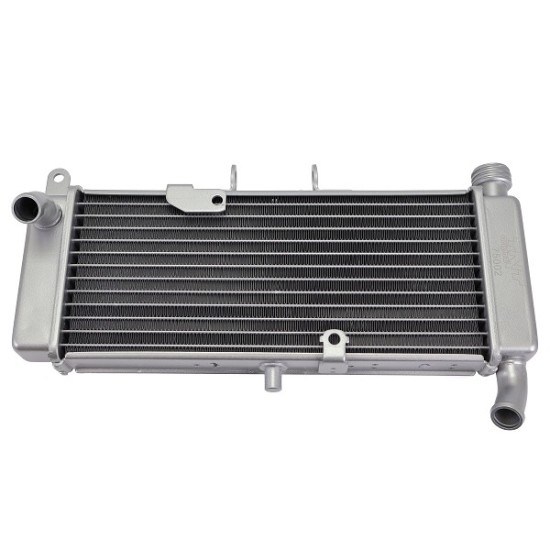 Radiateur Aprilia RS 125 17-20