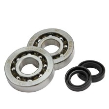 Kit Top Performance TPR 77 cilindro e albero motore Piaggio Scooter LC