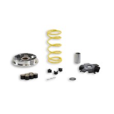 Malossi multivar Suzuki Adresse V 100