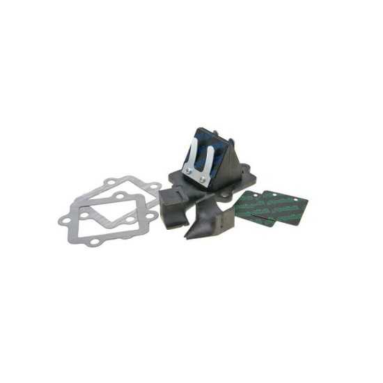 Caja láminas carbono Aerox / Jog Polini Caja láminas carbono Aerox / Jog Polini