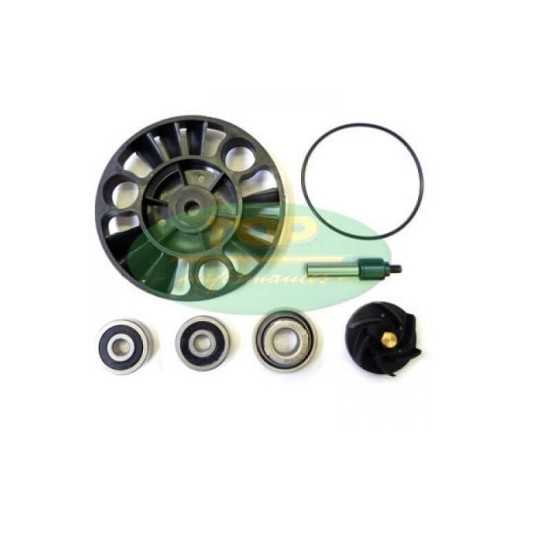 Kit di riparazione pompa dell'acqua Piaggio Euro 3 125/200 Top Kit di riparazione pompa dell'acqua Piaggio Euro 3 125/200 Top