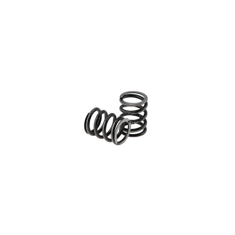 Valve Springs Takewaga Pitbike Z155 engine