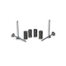 Soupapes Piaggio 125/250/300 Malossi pour culasse 4 soupapes