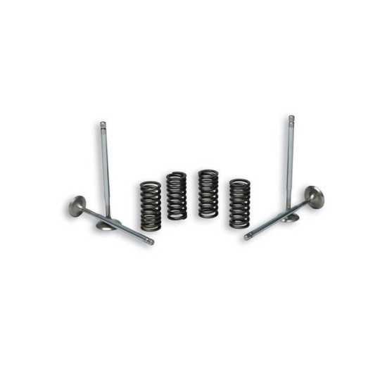 Soupapes Piaggio 125/250/300 Malossi pour culasse 4 soupapes