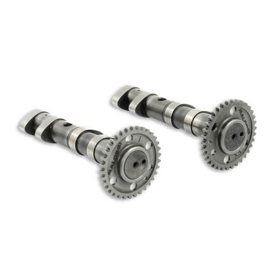 Camshaft Yamaha T-Max 500 Malossi