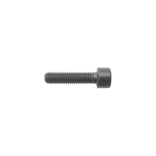 Oil pan screw M6