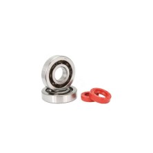 Crankshaft bearings and seals for Piaggio scooters TPI