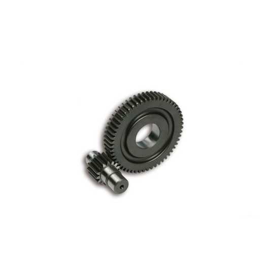 Transmission secondaire Malossi Piaggio 15/55 d.17mm axe sans cannelures