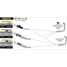 Silencieux en aluminium Thunder Arrow homologué pour Yamaha YZF R / MT 125