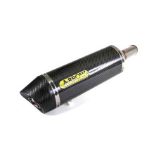 Silenciador exhaust Kawasaki Z900 20- Thunder carbono homologado Arrow