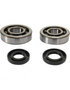 Bearings for motorcycles for a smoother ride